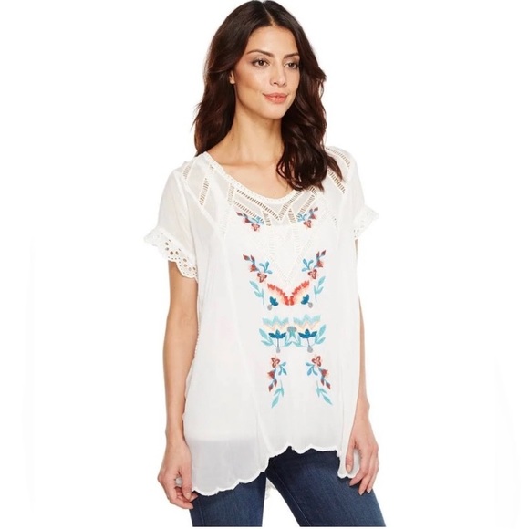New Johnny Was Vara Embroidered Floral Sheer Tunic Top Blouse Shirt S - Picture 1 of 16